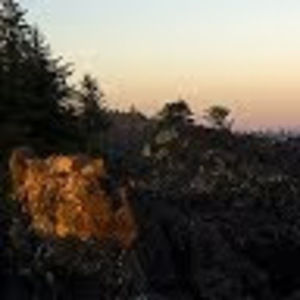 Meet your Posher, Fatima